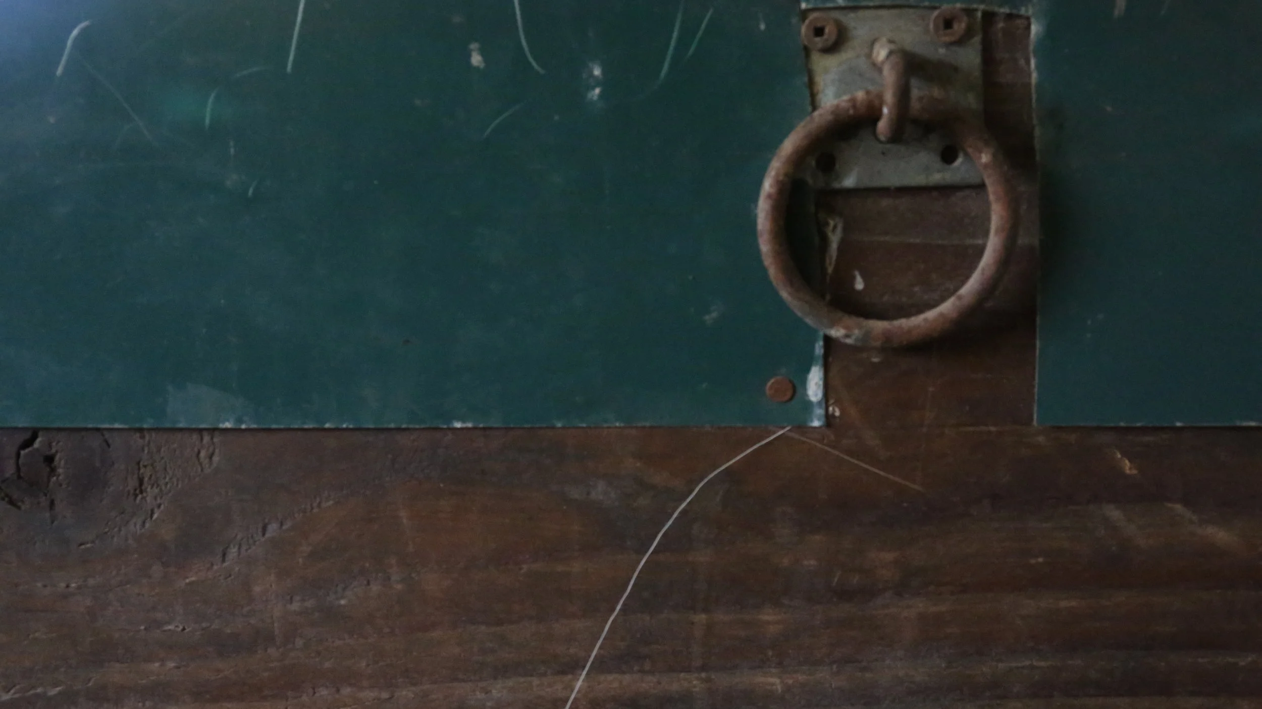 0V3A8890.JPG
