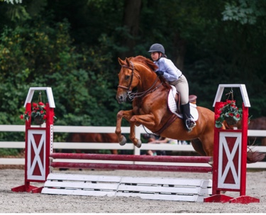 Image 4-7-18 at 3.24 PM.JPG