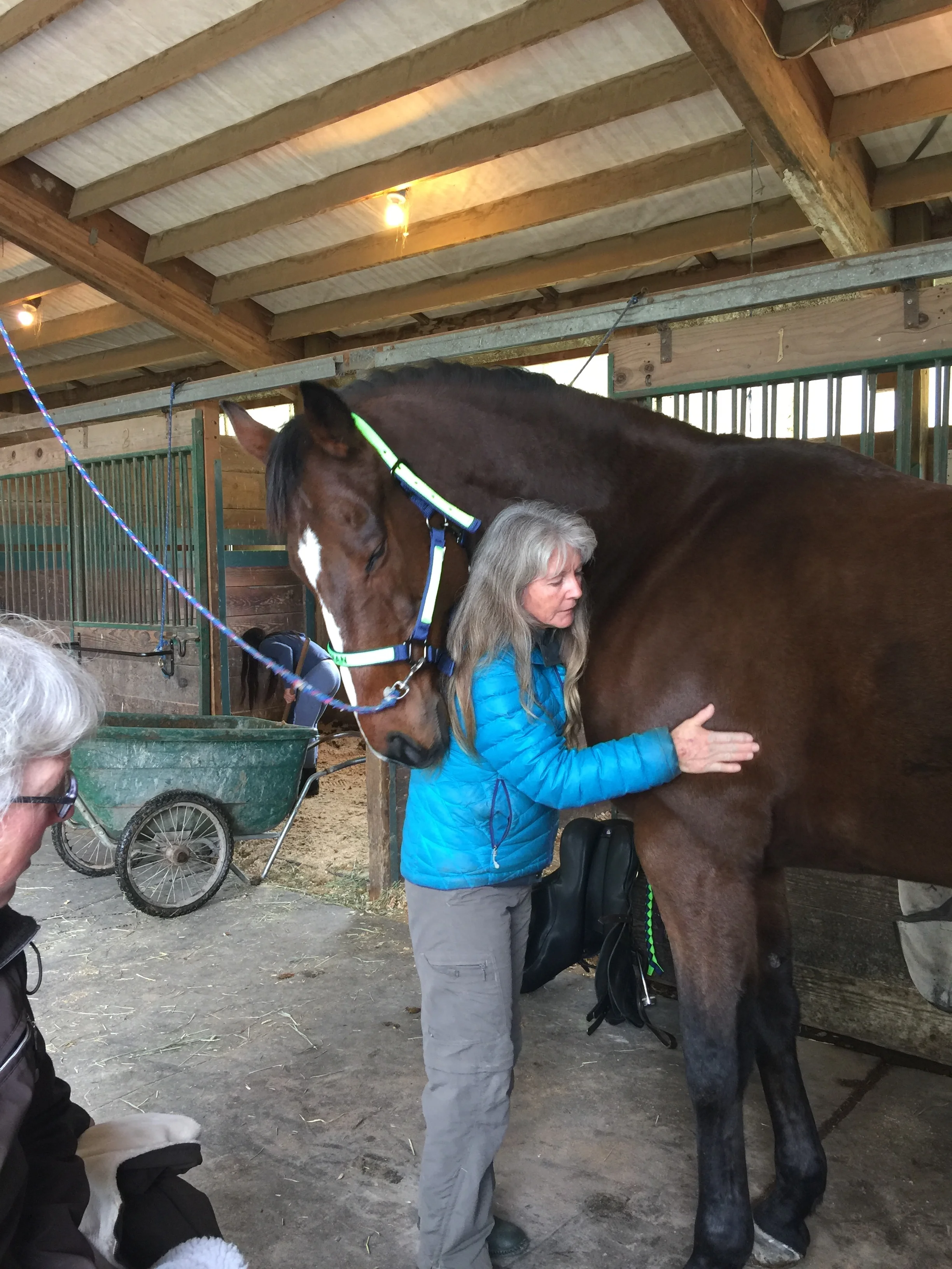 Elizabeth Johnson.JPG