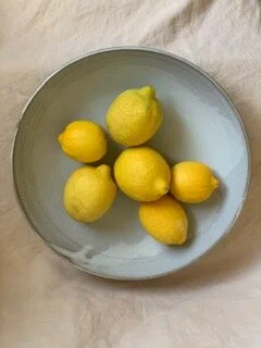 garden bowl top lemons.jpg