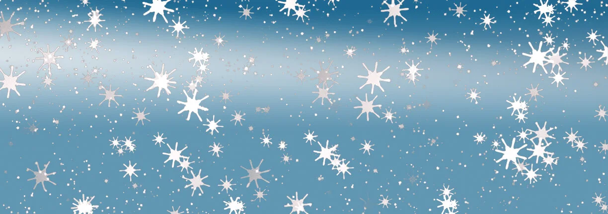 snow banner.jpg
