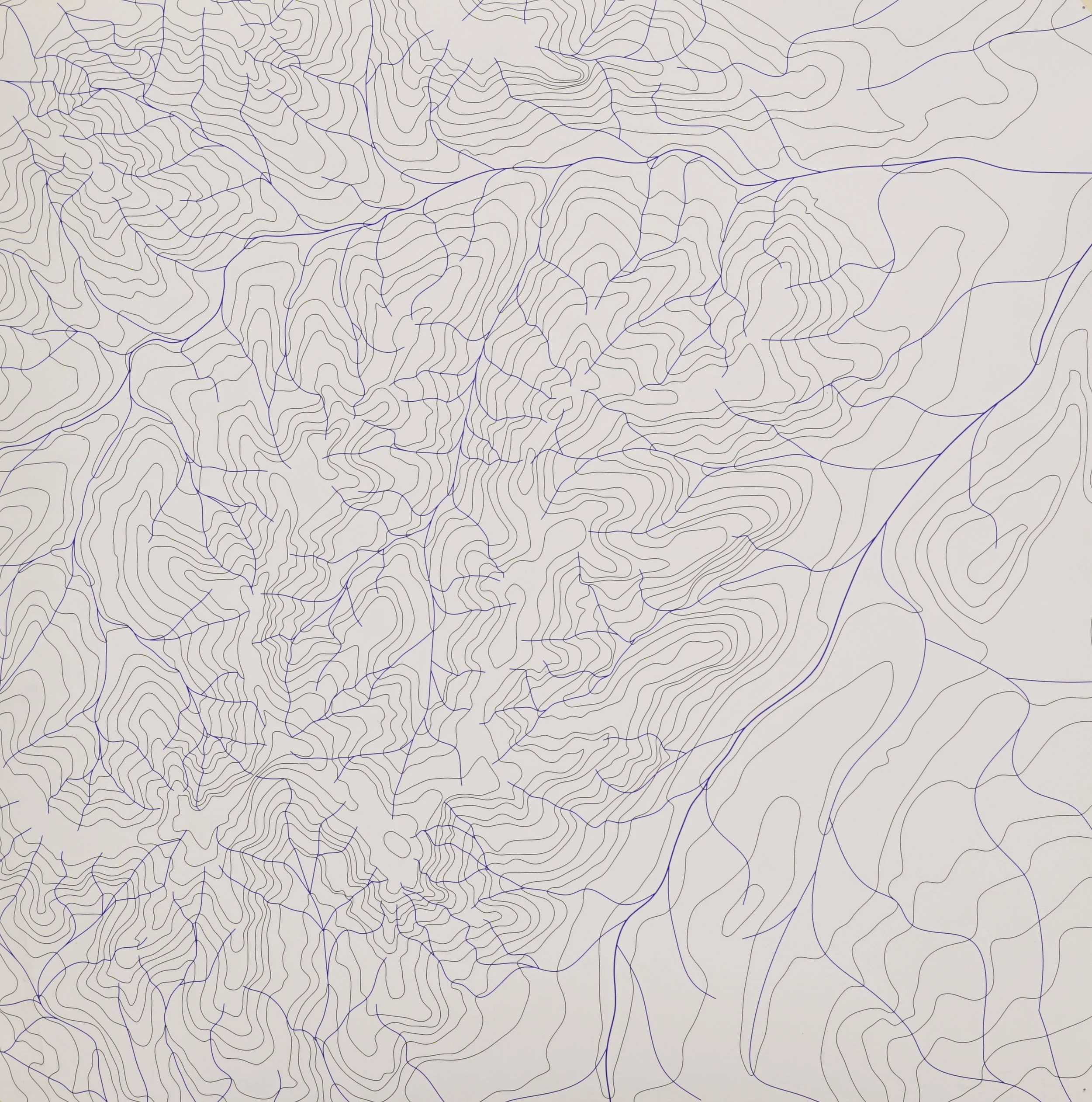 NATURAL TOPOGRAPHY PRIOR TO SUBURBAN DEVELOPMENT