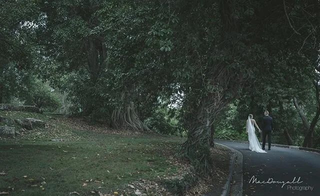 Summer in the secret garden! Jelena and Steve loving life on their big day.

#glamglow #glambride #nostalgia #instaweddings
#weddingphotographer
#weddingday
#bridalinspo
#sydneybride
#chasinglight
#loveonthelswn
#togetherweroam
#letsgosomewhere
#cosmobride
#weddinginspo 
#weddingdetails
#sydneyweddings
#dreamweddings
#weddingblogger
#couturebride #sydneywedding #sydneyweddingphotographer #lemontage #glamourous #naturalwedding #onefineday