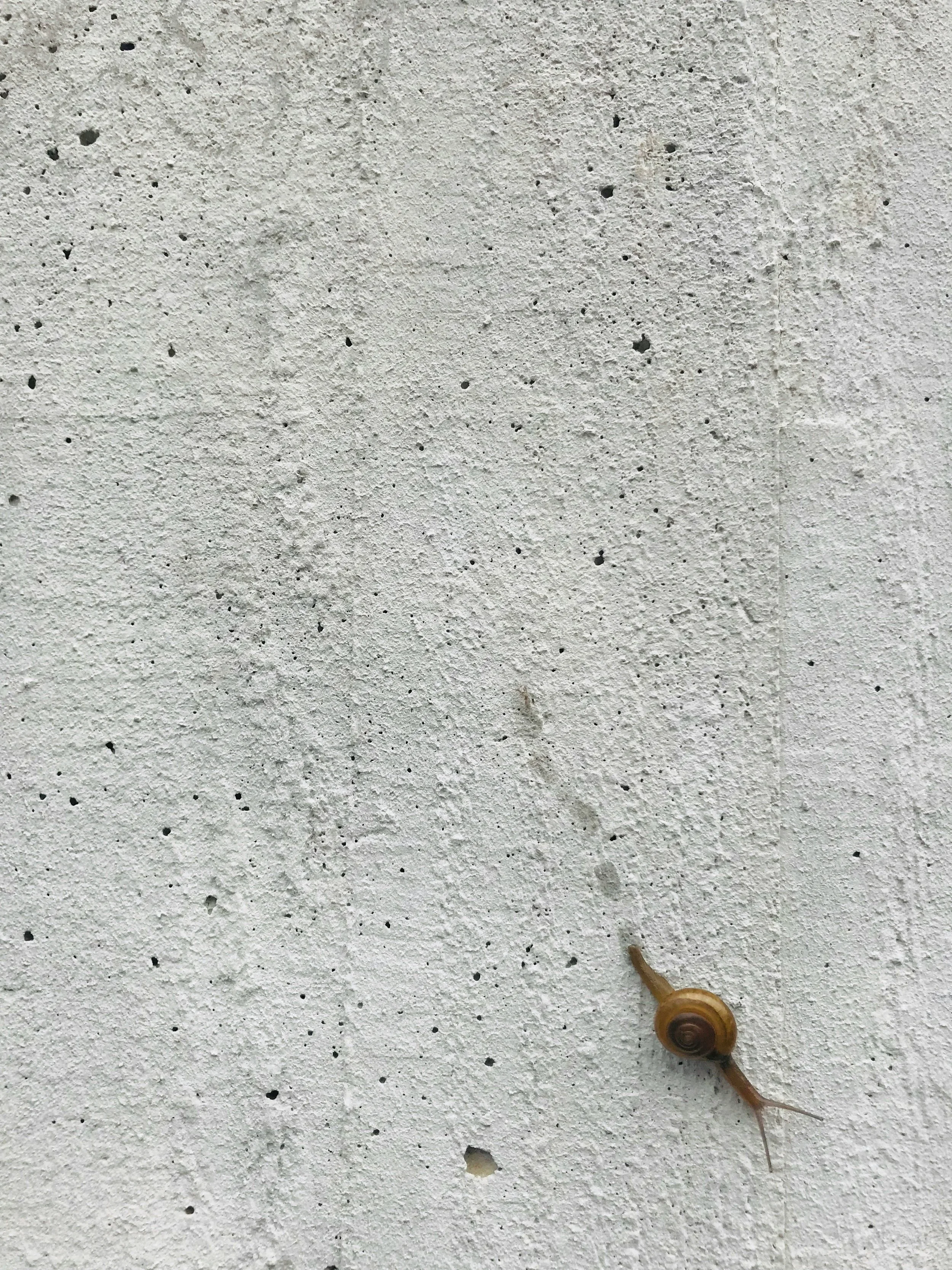 Constipation Is a Motility Problem