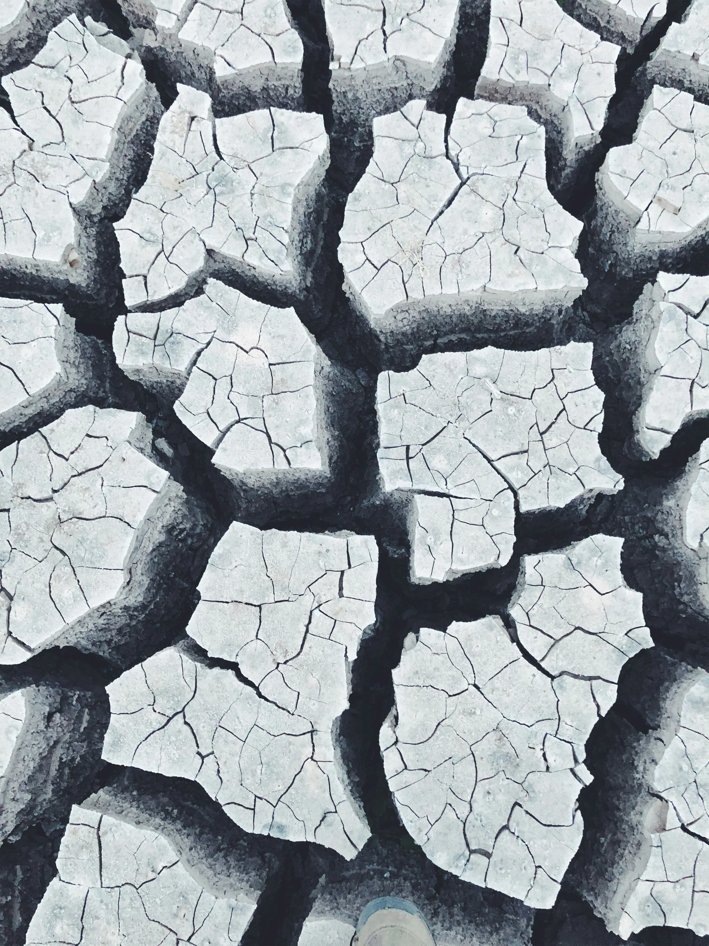 Leaky Gut: What It Is and How to Heal It