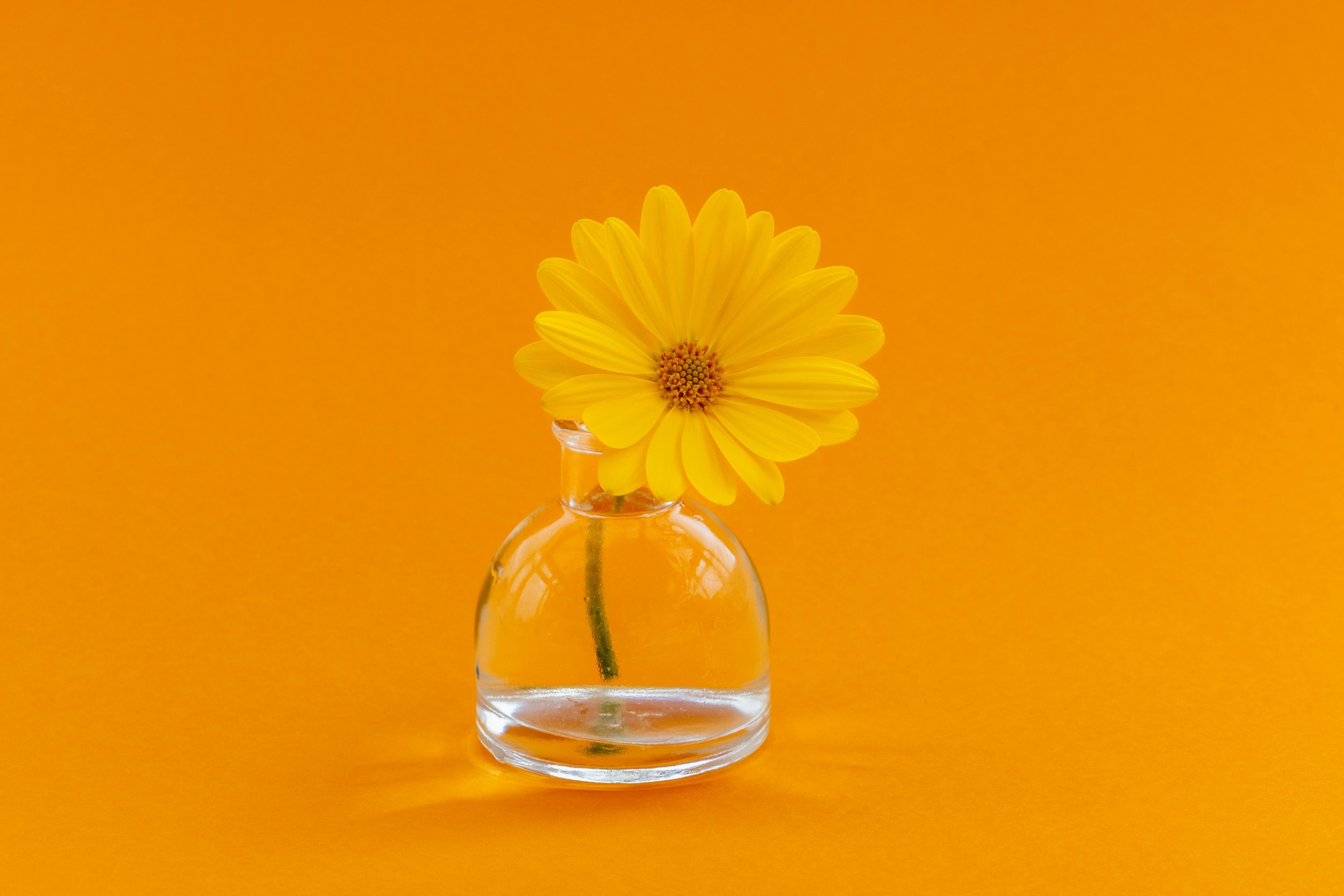 PMOS (A Proposed New Name for PCOS): How GLP-1 Medications May Improve Women's Hormonal and Metabolic Health