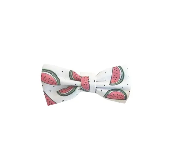 watermelon bowtie sq.jpg