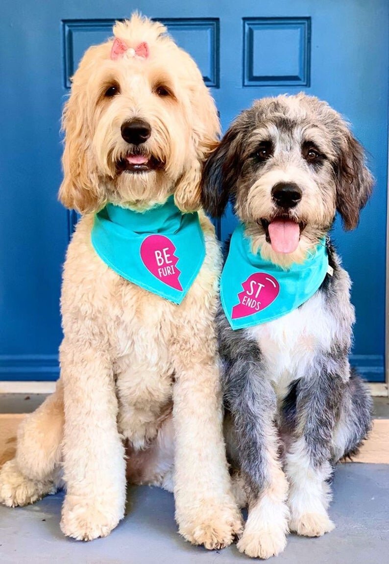 friends dog bandana