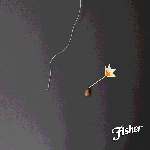 Fireworks.gif