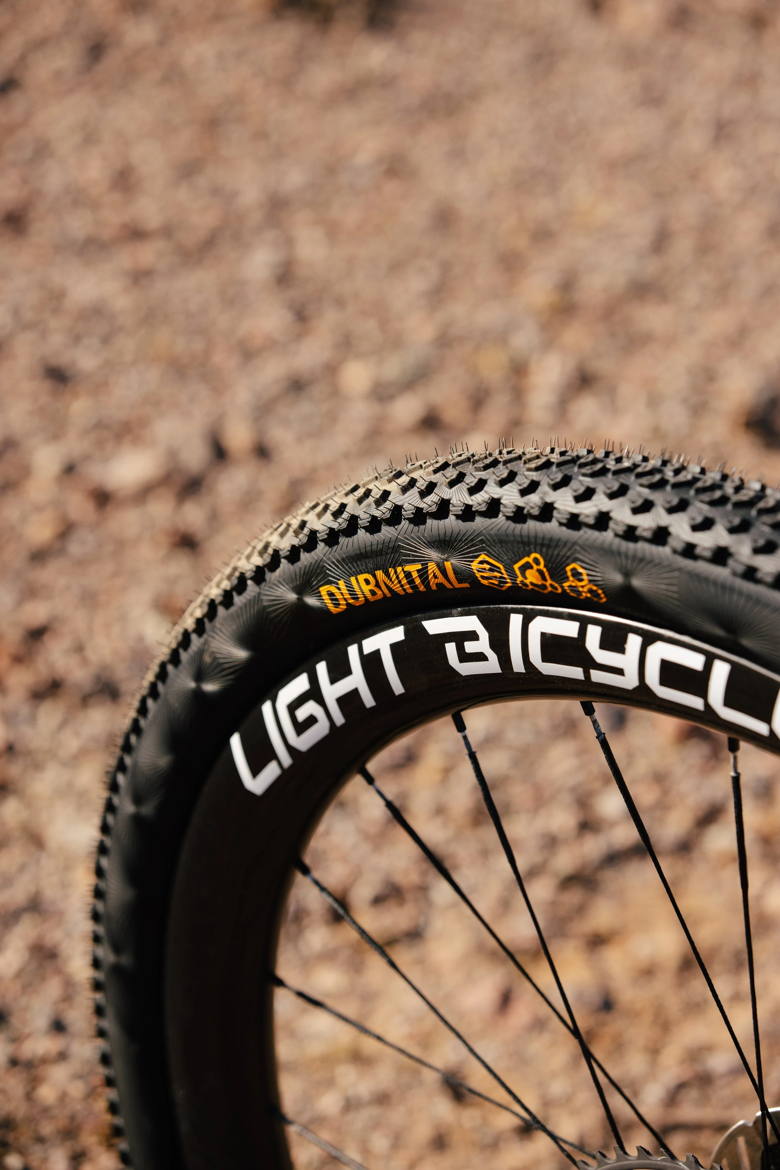2026_Spring_Finsty_Dubnital_Tucson-22.jpg
