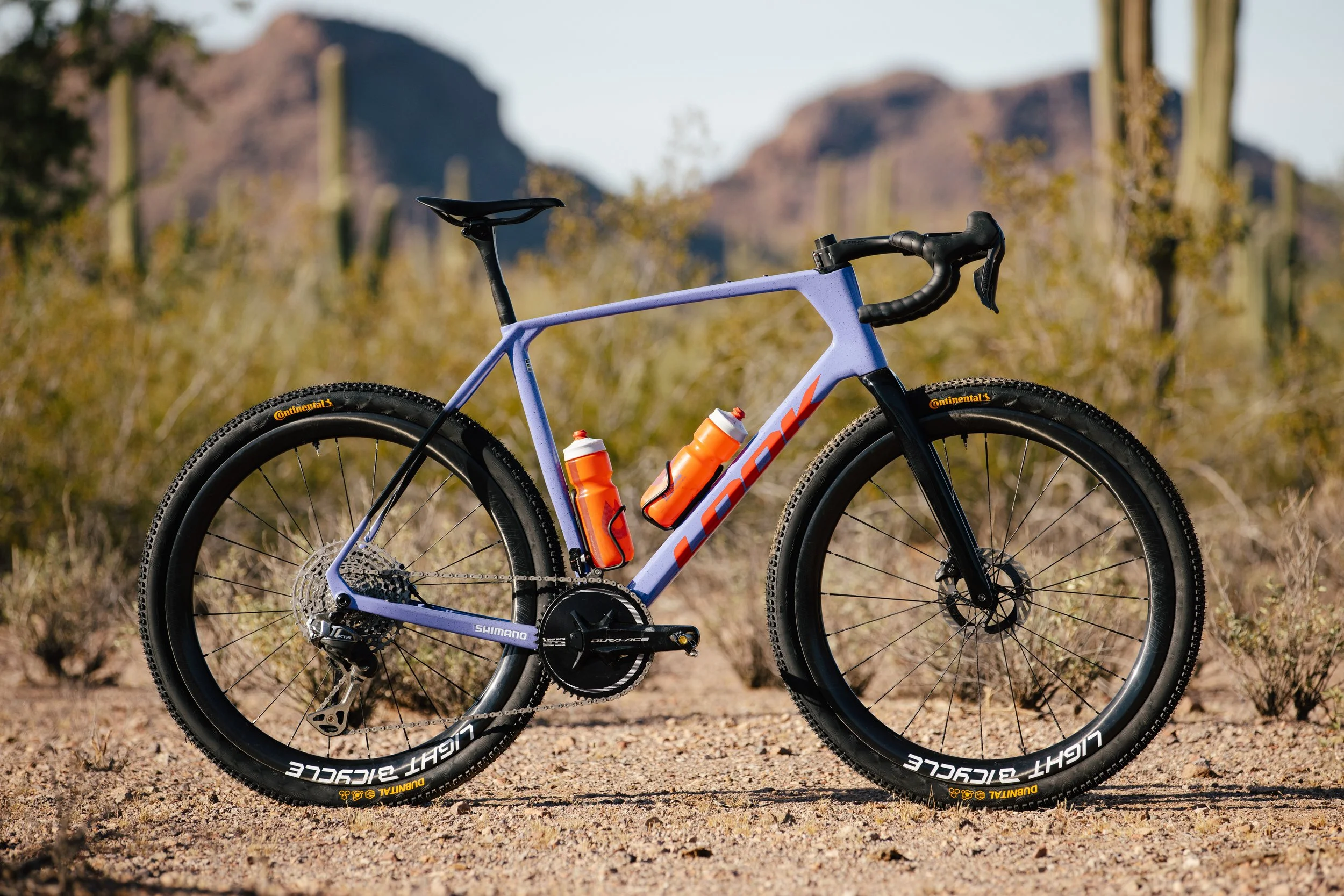 2026_Spring_Finsty_Dubnital_Tucson-24.jpg