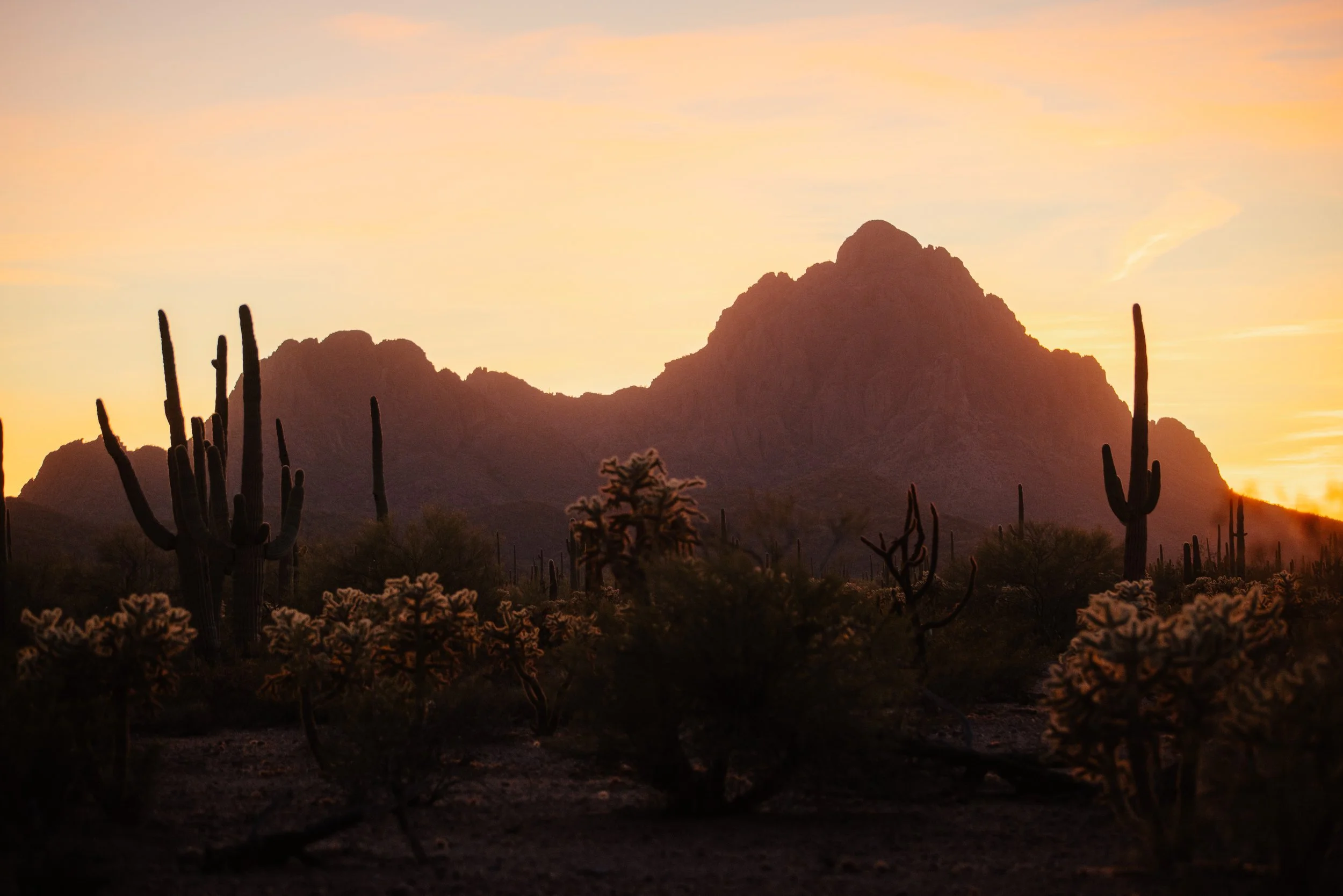 2026_Spring_Finsty_Dubnital_Tucson-101.jpg