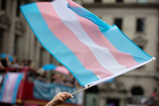 A hand waving the trans pride flag