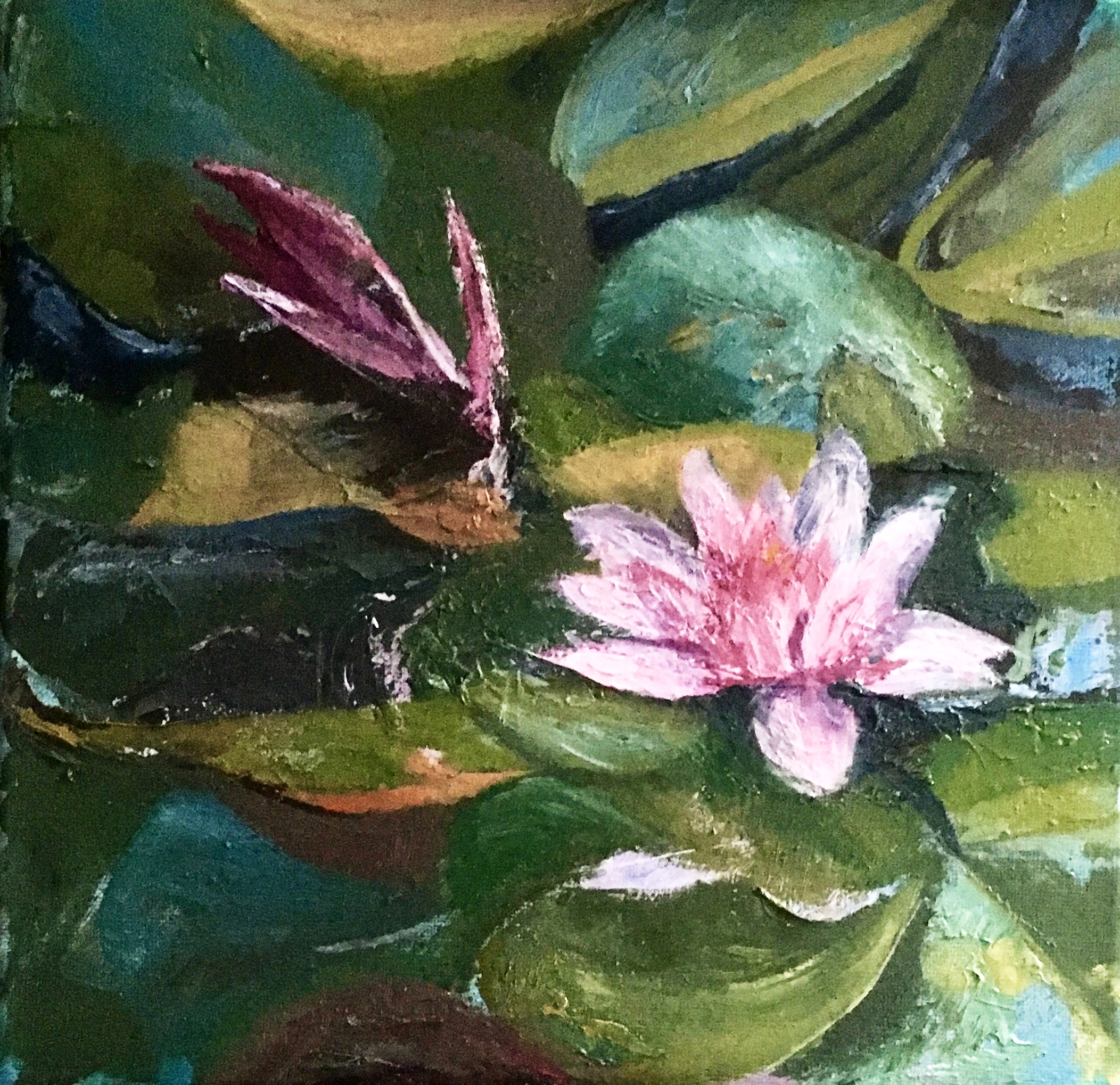 Waterlilies