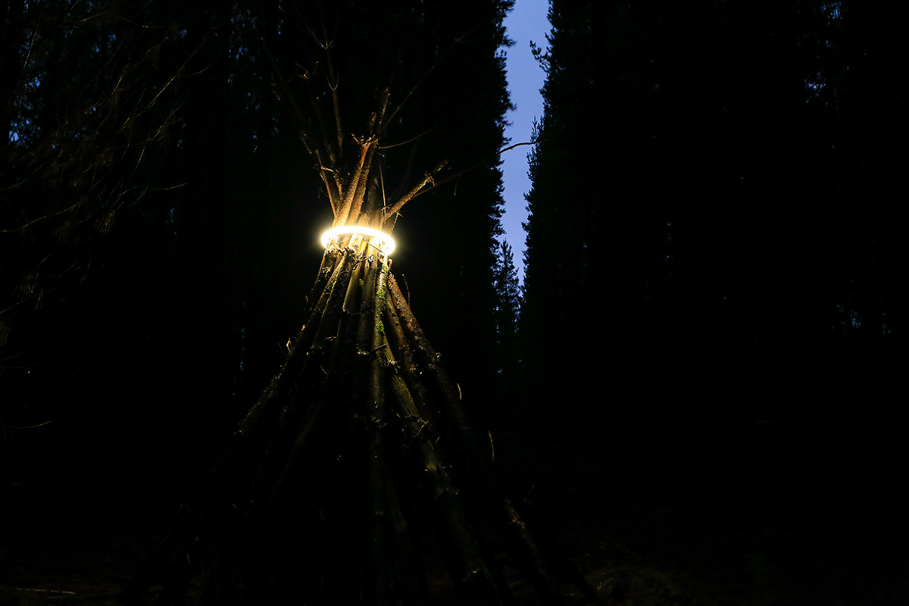 James Tapscott 'liminal choke' 2.jpg