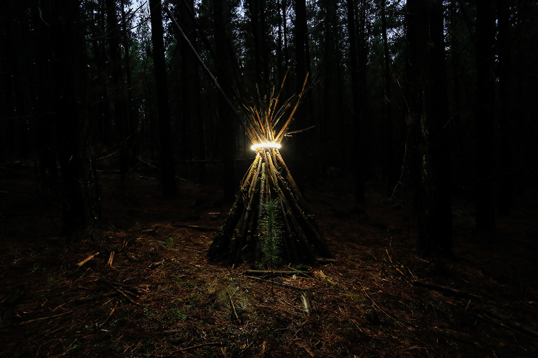 James Tapscott 'liminal choke' 3.jpg