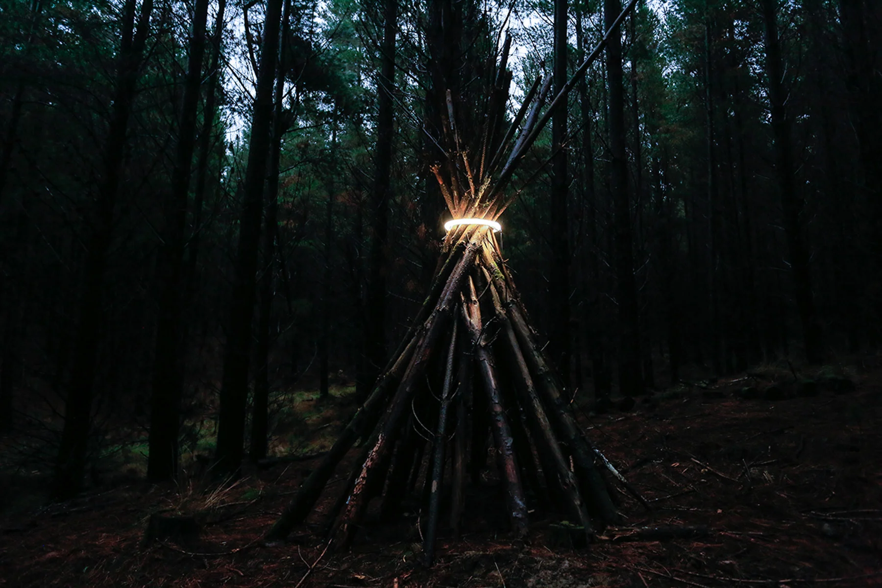 James Tapscott 'liminal choke' 6.jpg