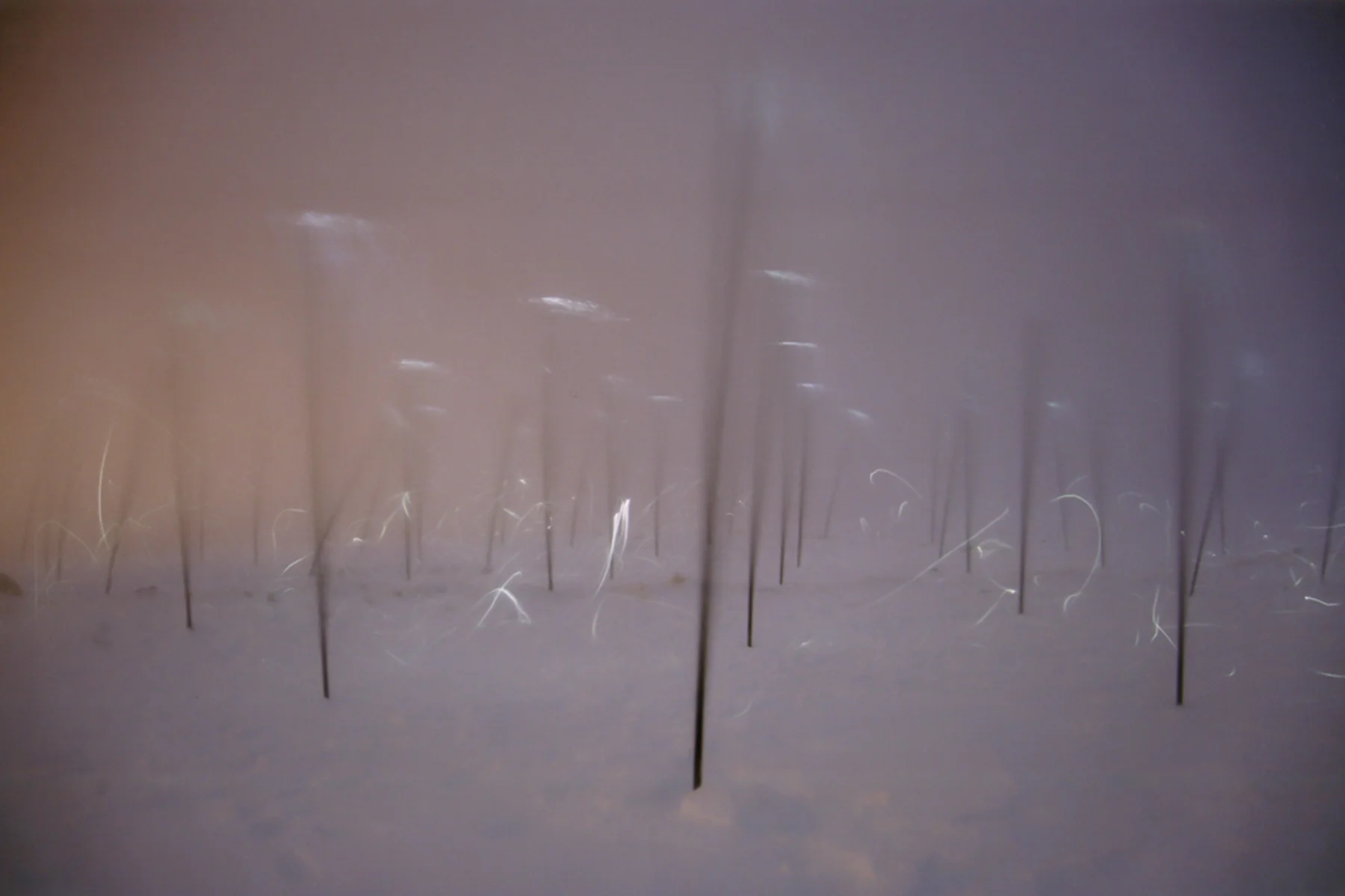  Mt Hotham, VIC 