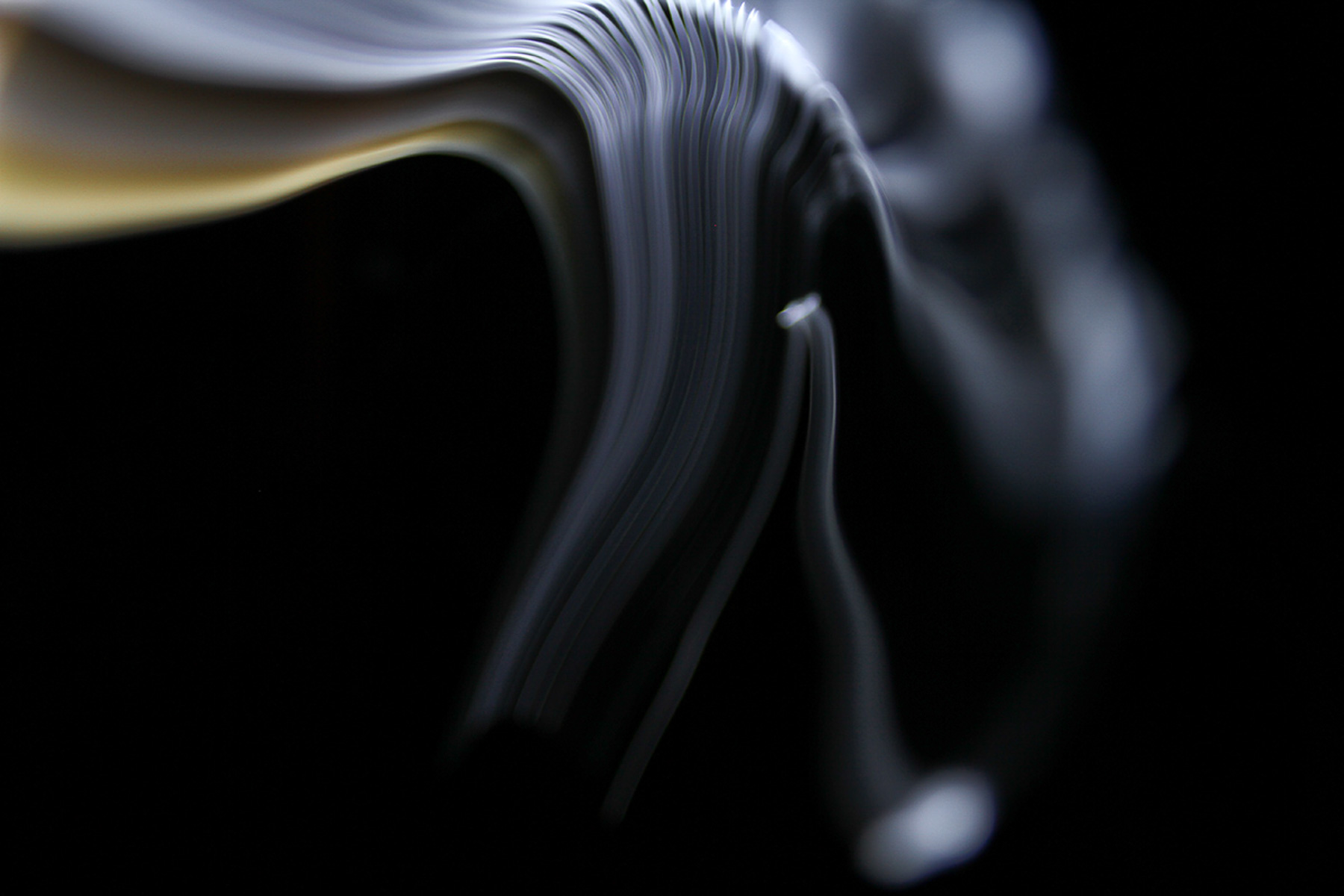 light drawing 2.jpg