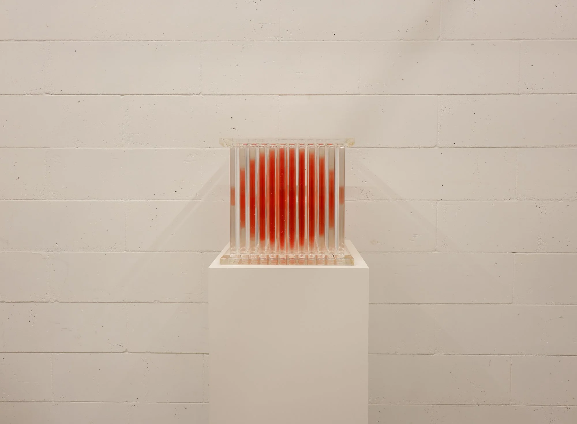 Penumbra - Red_WEB-2.JPG