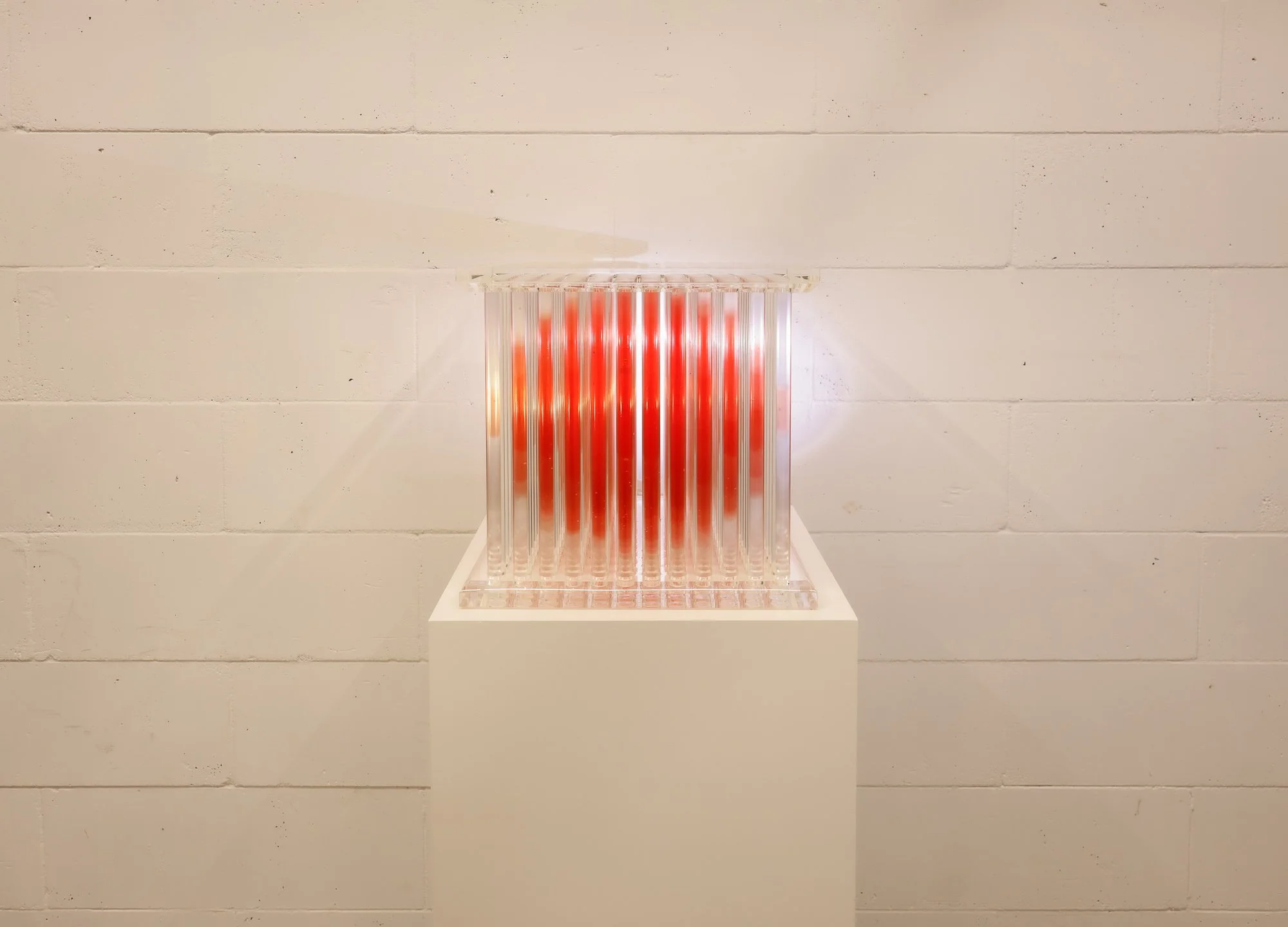 Penumbra - Red_WEB-4.JPG