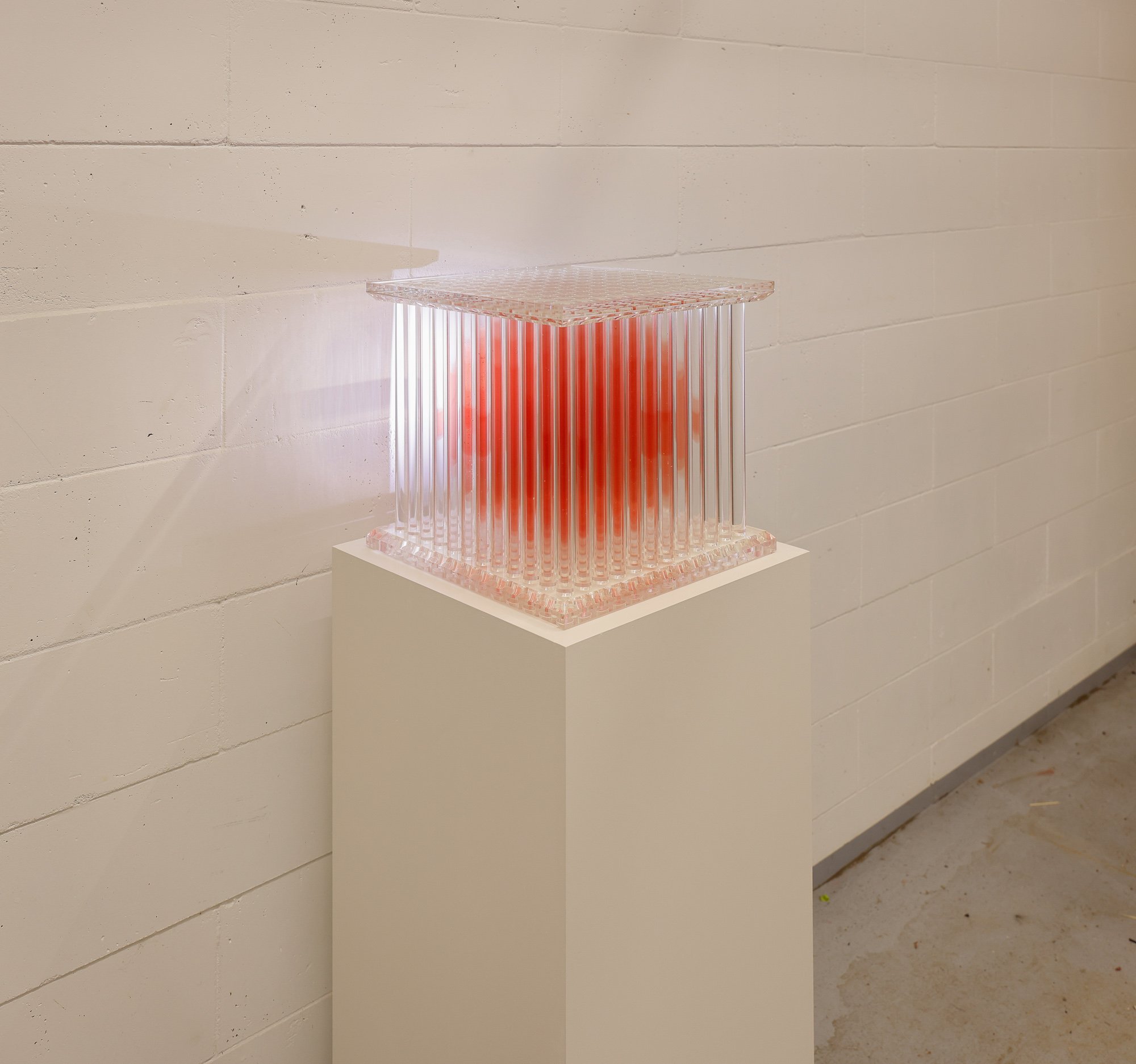 Penumbra - Red_WEB-3.JPG