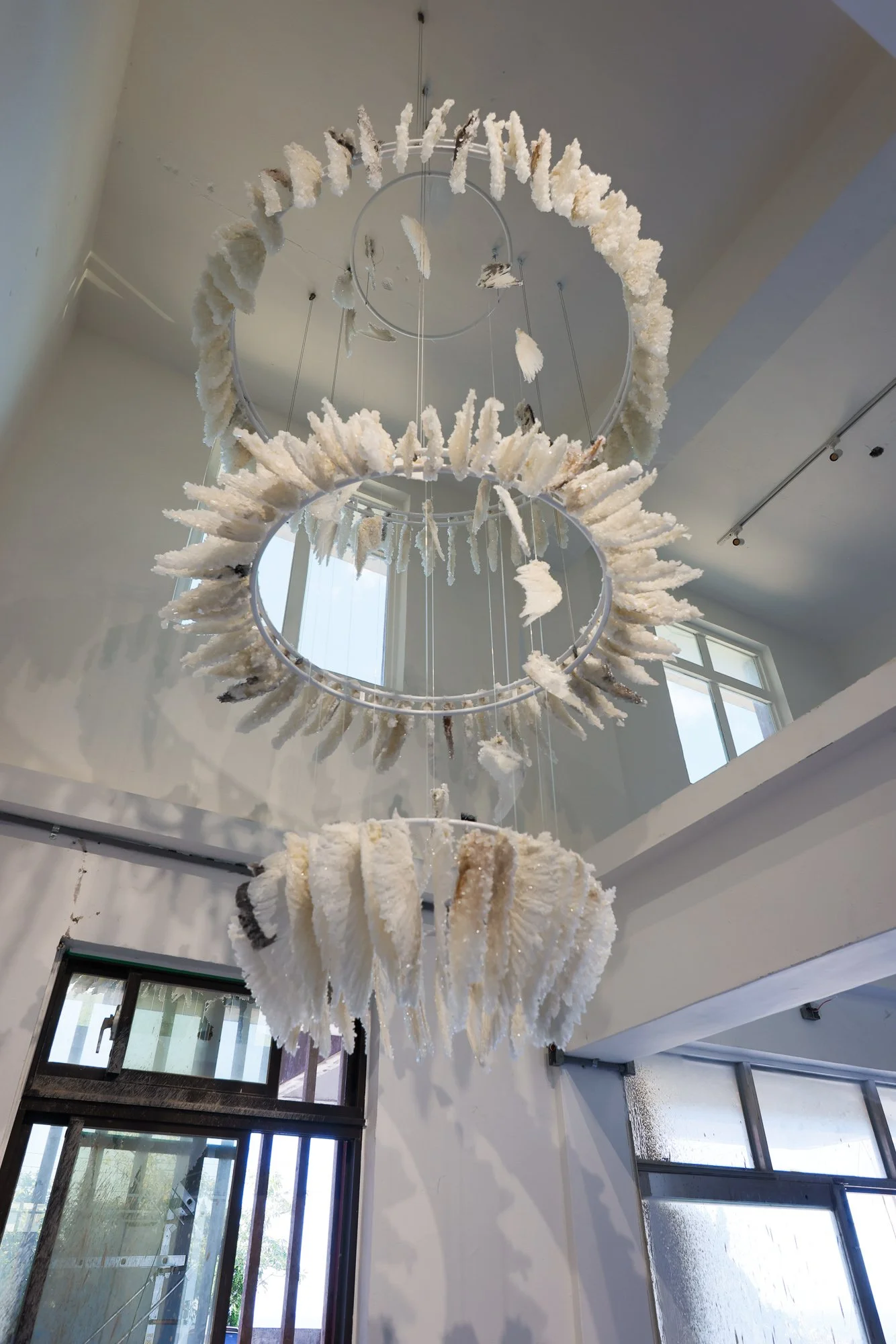 Murmuration_sml (2 of 9).JPG