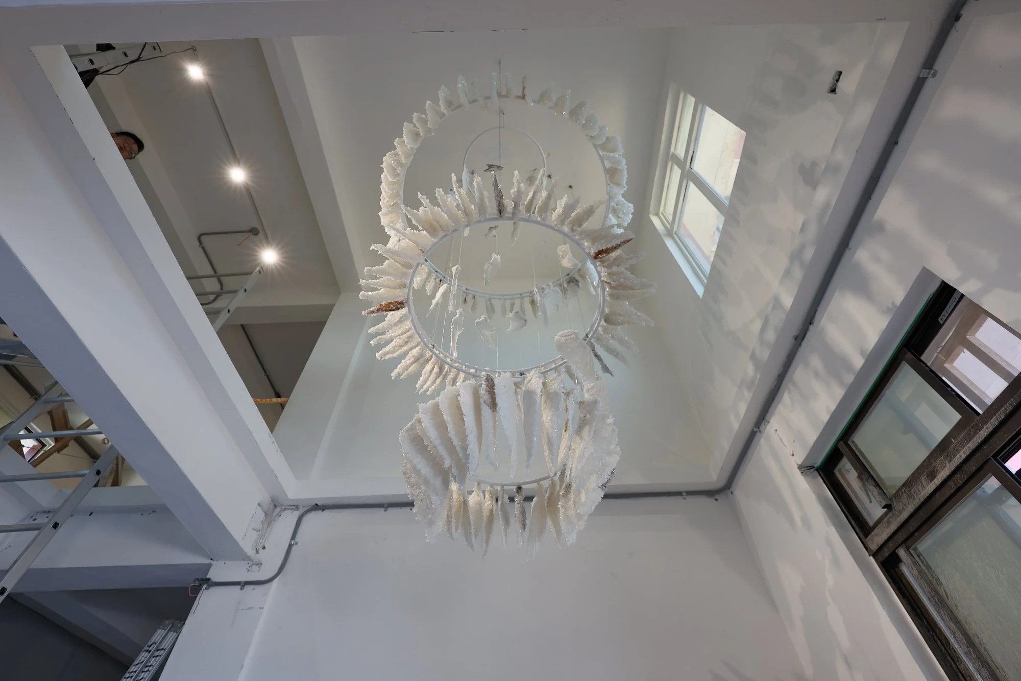 Murmuration_sml (3 of 9).JPG