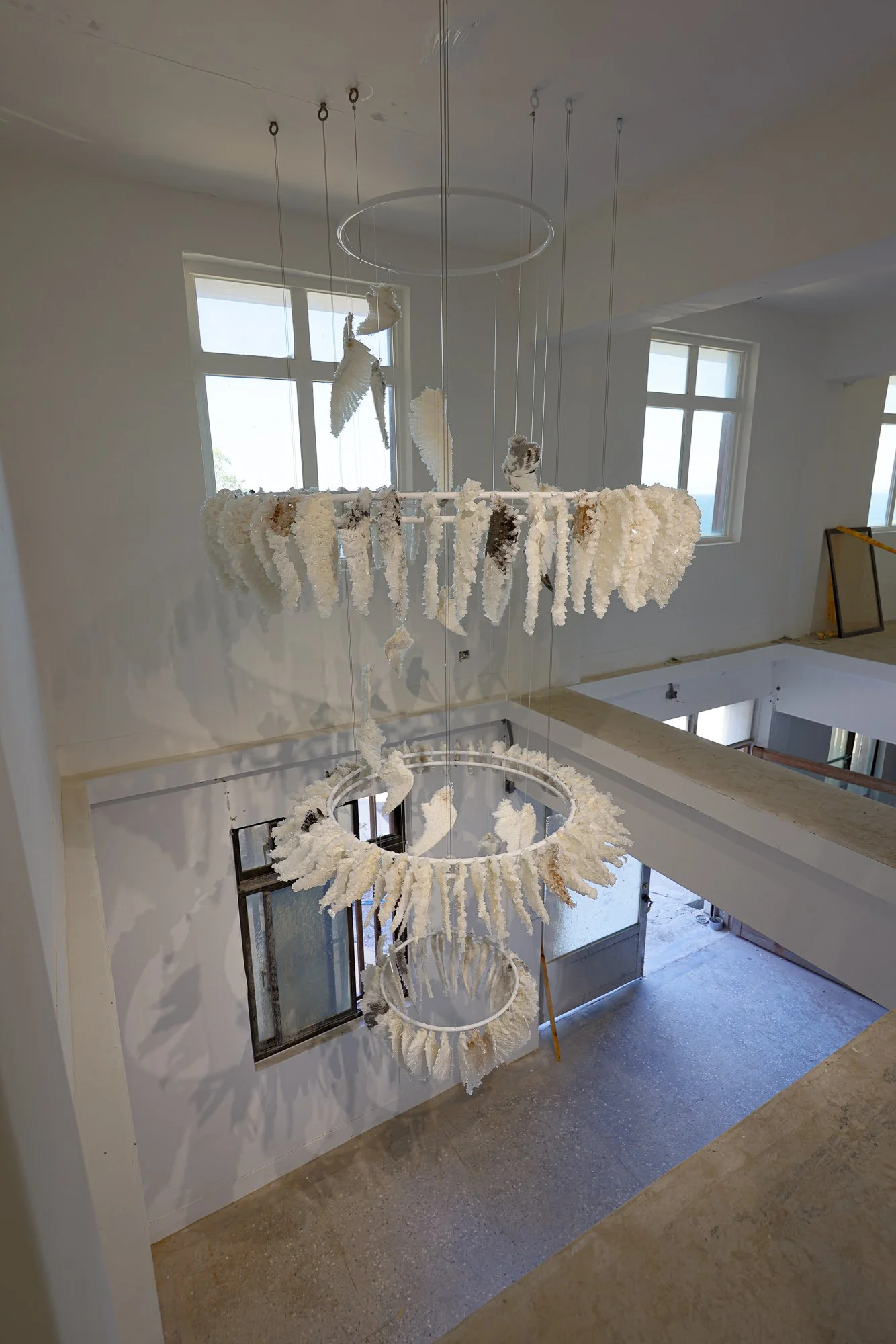 Murmuration_sml (5 of 9).JPG