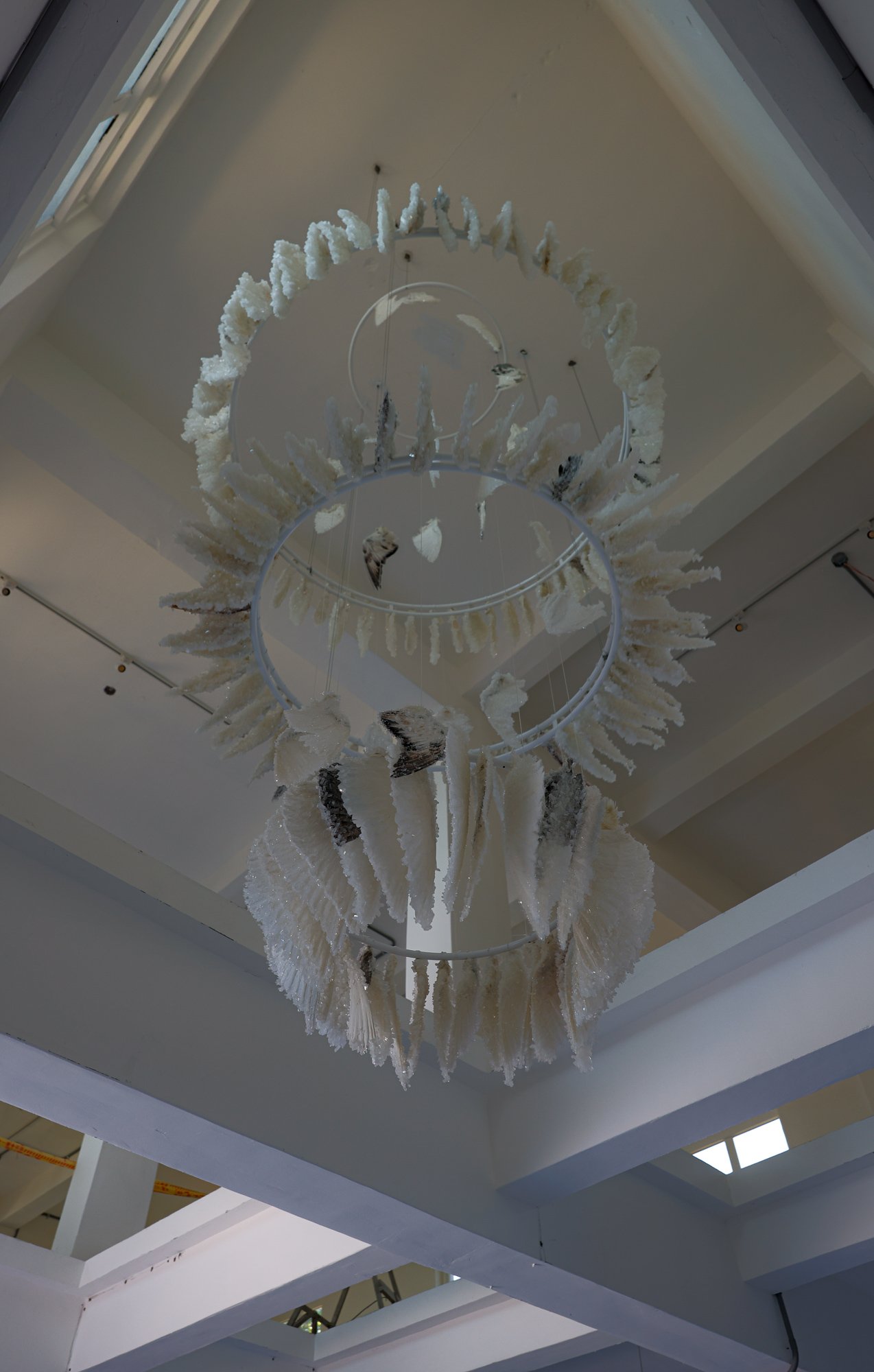 Murmuration_sml (6 of 9).JPG