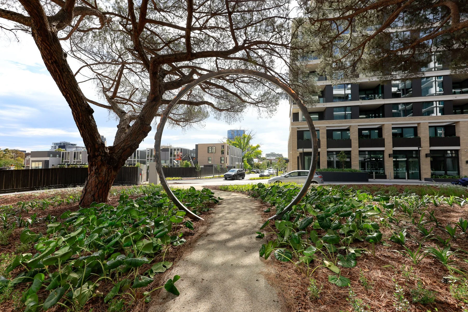 Pineal Arc_sml-2.JPG