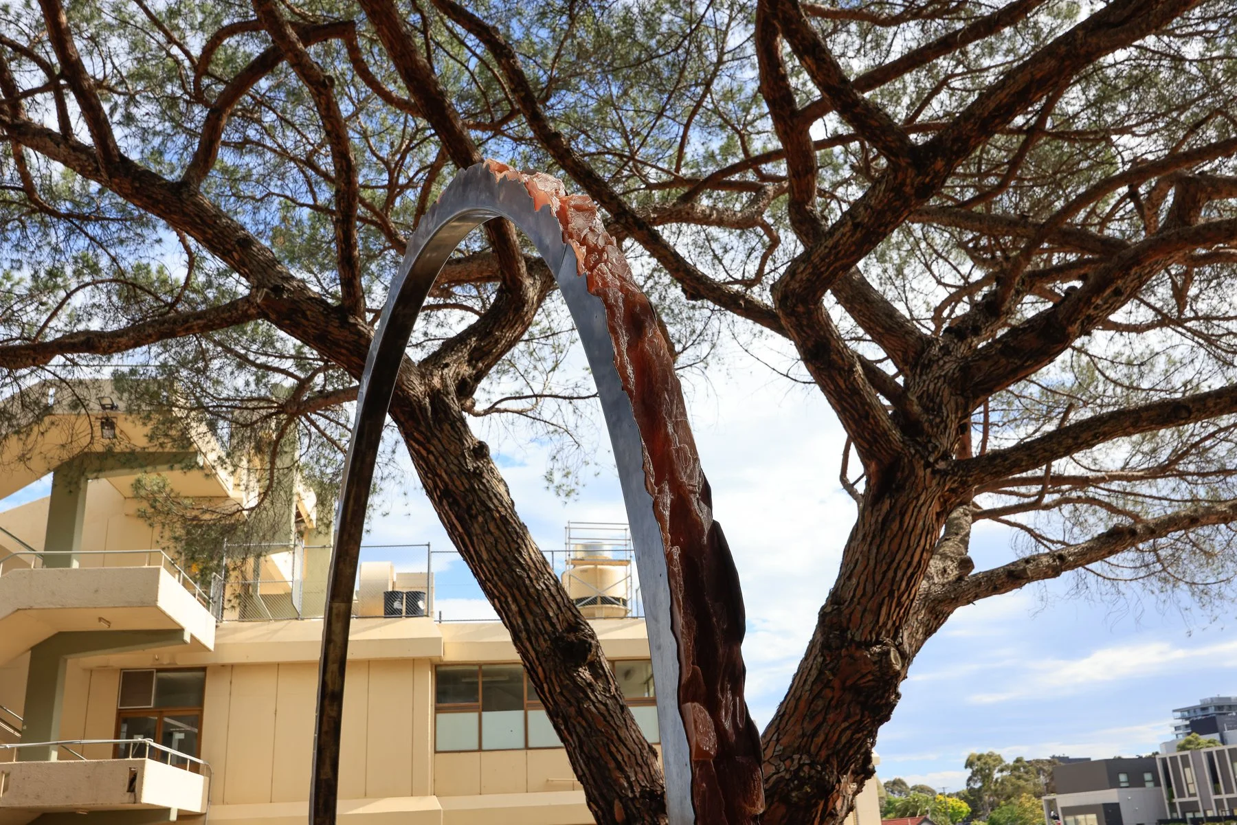 Pineal Arc_sml-4.JPG