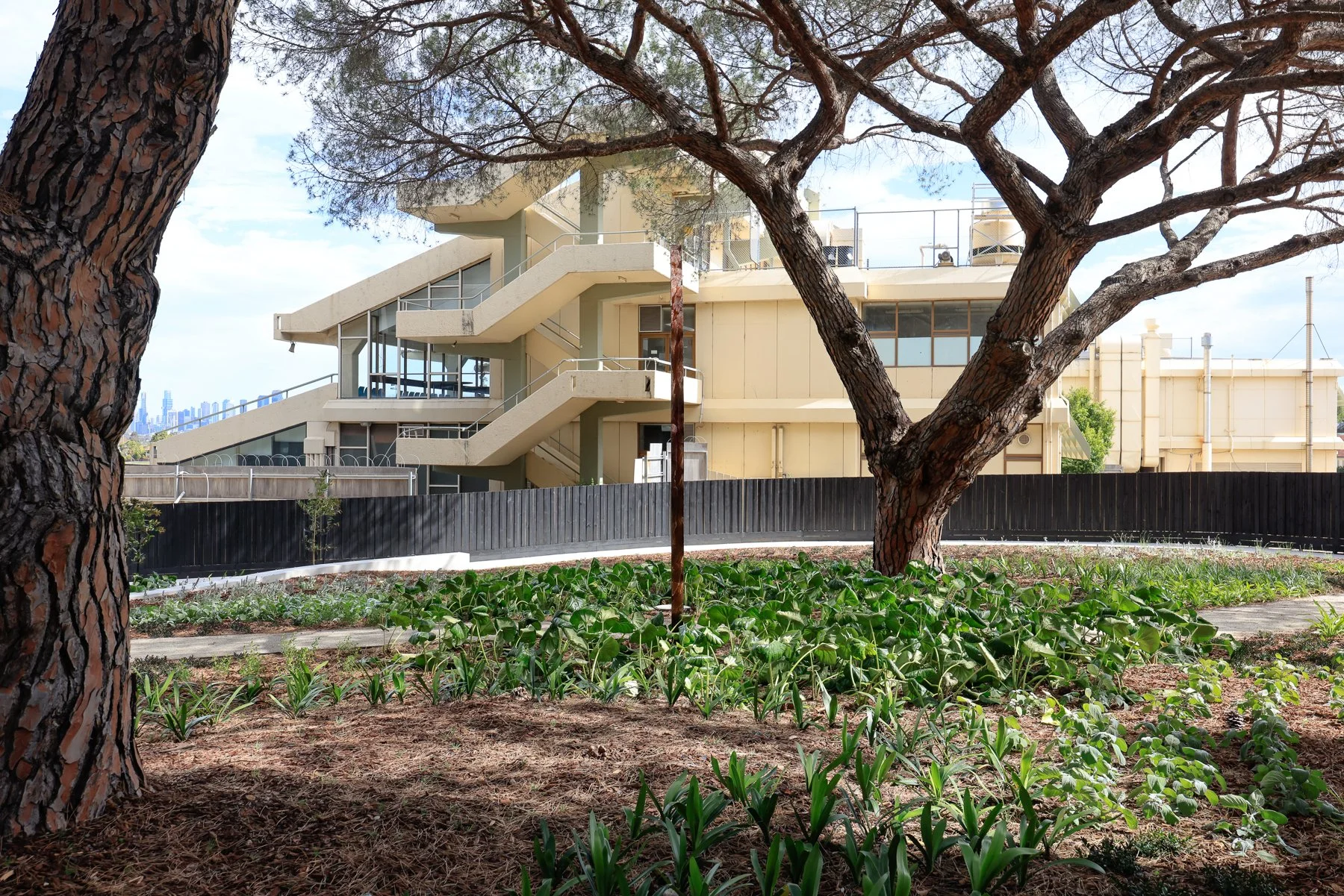 Pineal Arc_sml-5.JPG