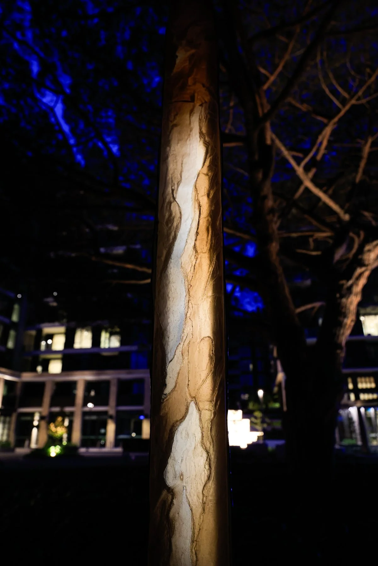 Pineal Arc_sml-22.JPG