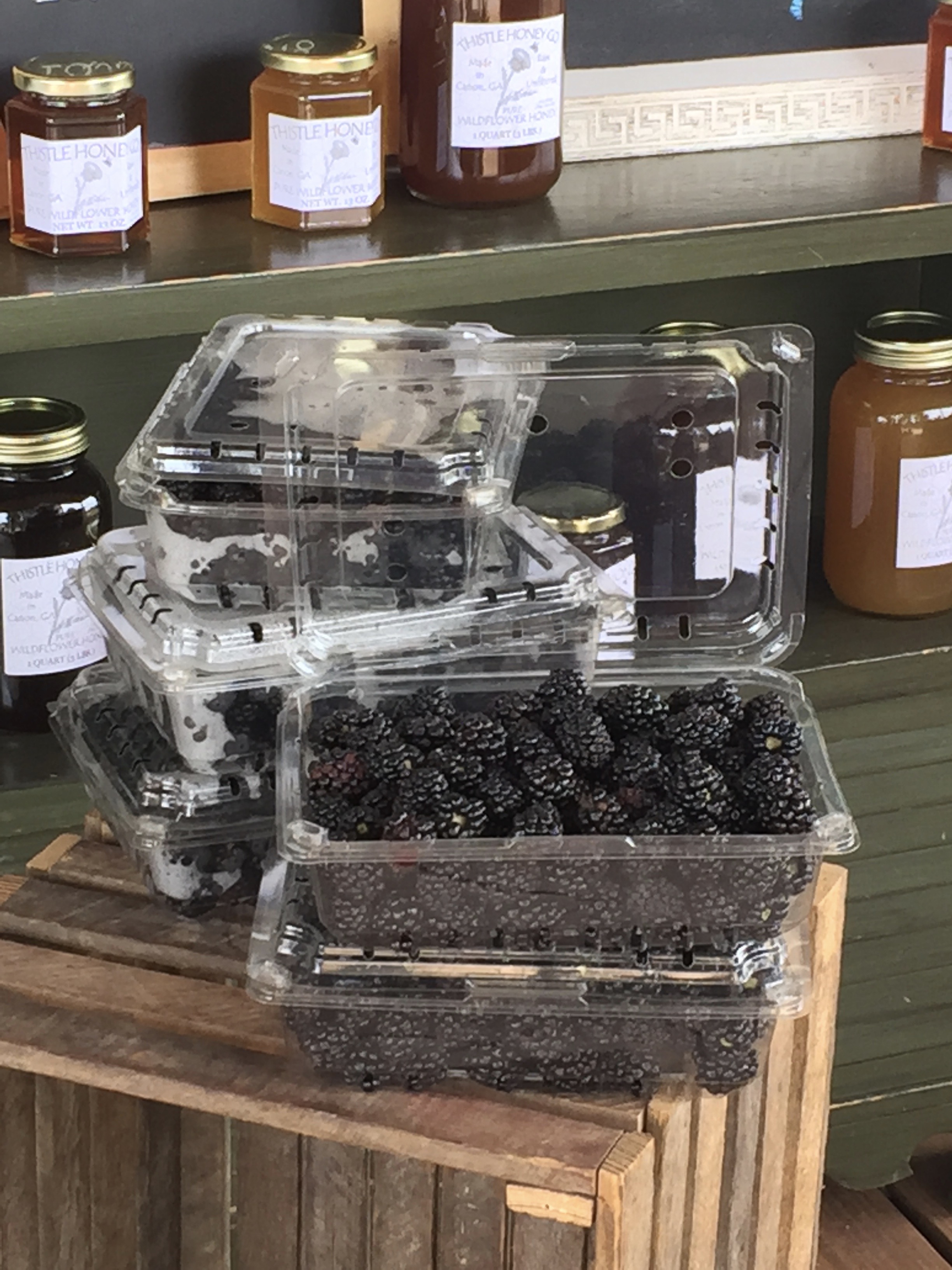 Blackberries | Gallon (2 clamshells) $32