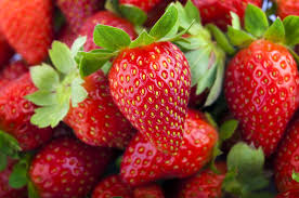 Strawberries | Pint clamshell $5