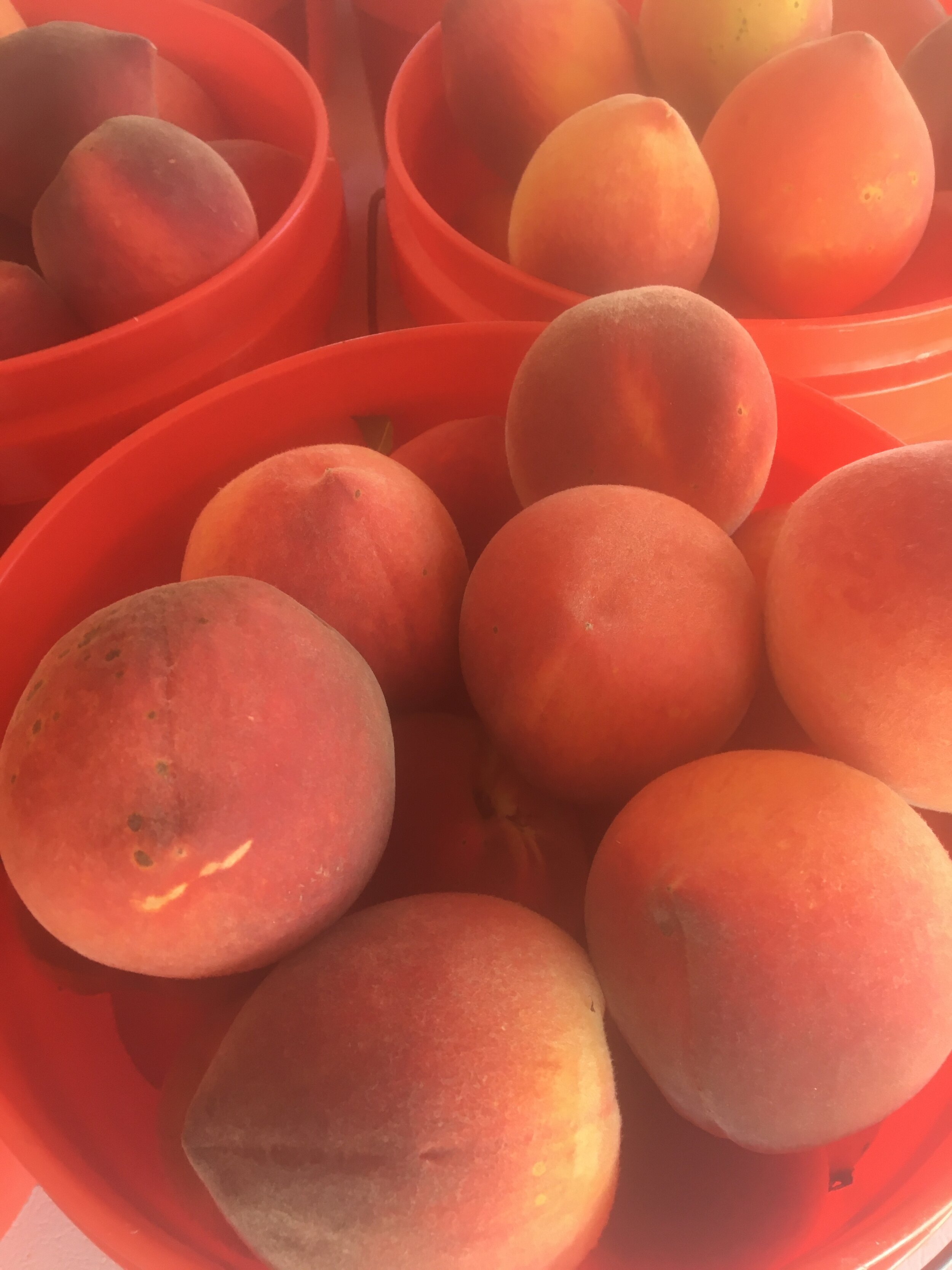 Peaches | Peck $20