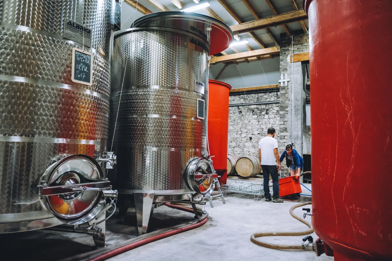 vinification-cave-bio-gaillac.jpg