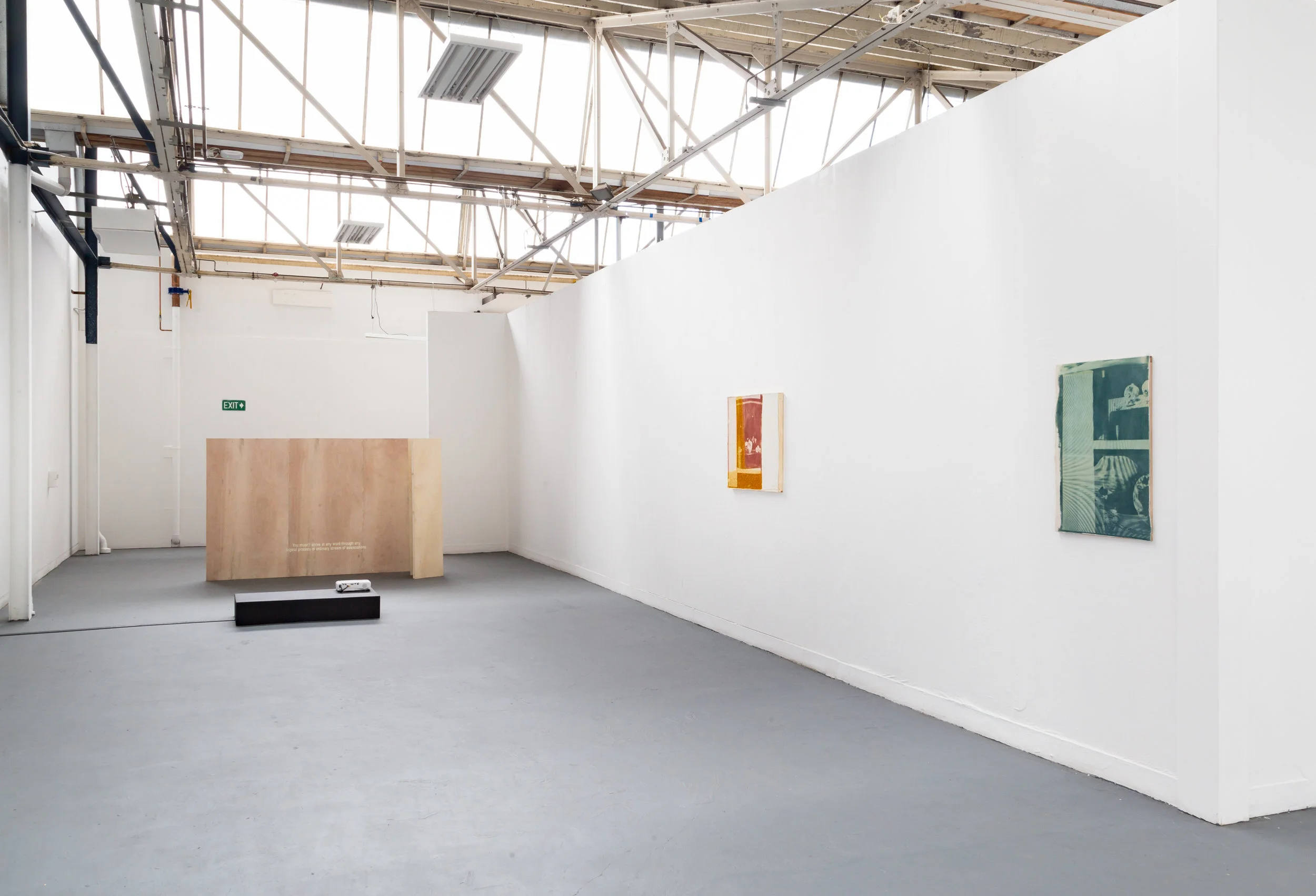 The Red Circle & Permissibility, Jeremy Eaton, 2017, installation view. Photo: Andre Piguet