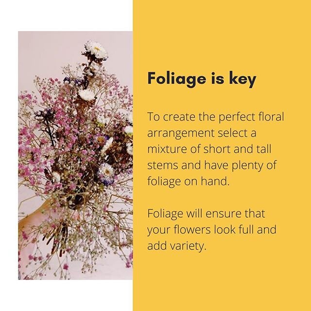 Foliage is key to creating the perfect floral arrangement, try and get as much as you can to add body to your bouquet... @jasminkiriflowers 🌱🌿 #floral #flowers #flowersofinstagram #floralarrangement #floraldesign #plants #houseplants