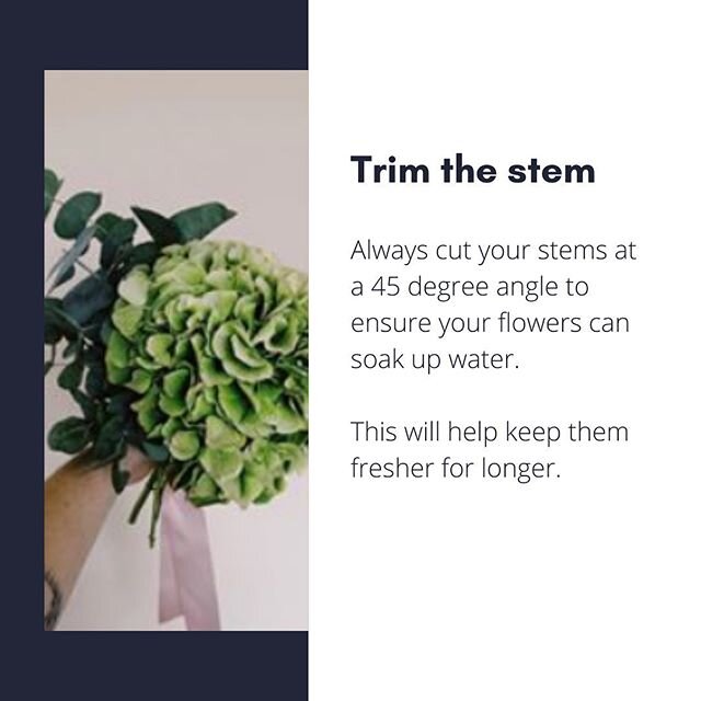 Last week we caught up with @jasminkiriflowers on all things plants and flowers. Here&rsquo;s her top tips, but you can catch the full session on our Instagram TV now.

First up always trim the stems at a 45 degree angle, this will help them drink th