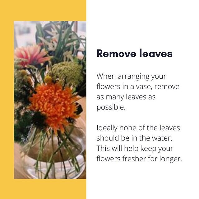 When arranging your flowers be sure to remove all the leaves from the flowers, this will help keep the blooms fresh by focusing the energy here... #flowers #floral #floralarrangement #florist #floristry #flowertips