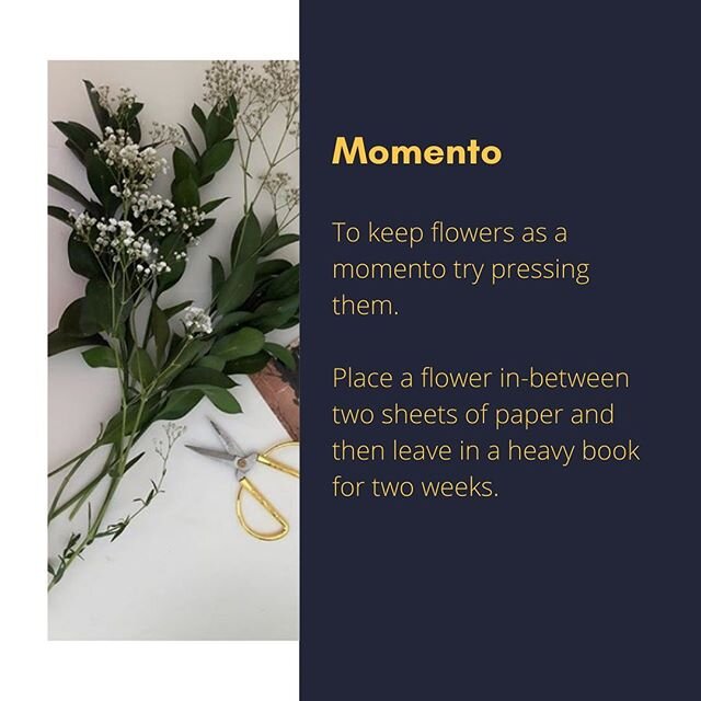 Got a special bunch of flowers? Why not give flower pressing a go... #flower #flowers #floral #floristry #floral #flowertips #flowerpressing