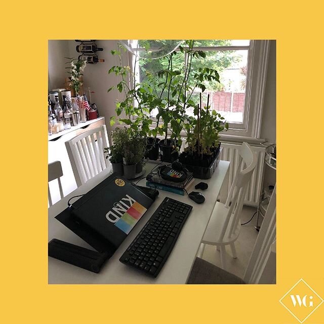 Wondering how the Working Girls Network team are getting on WFH? Check out our founder Alexa&rsquo;s set up, houseplants included. Here&rsquo;s her lockdown lowdown... Positive: Have been able to speak to my grandparents in the US a lot more and my h