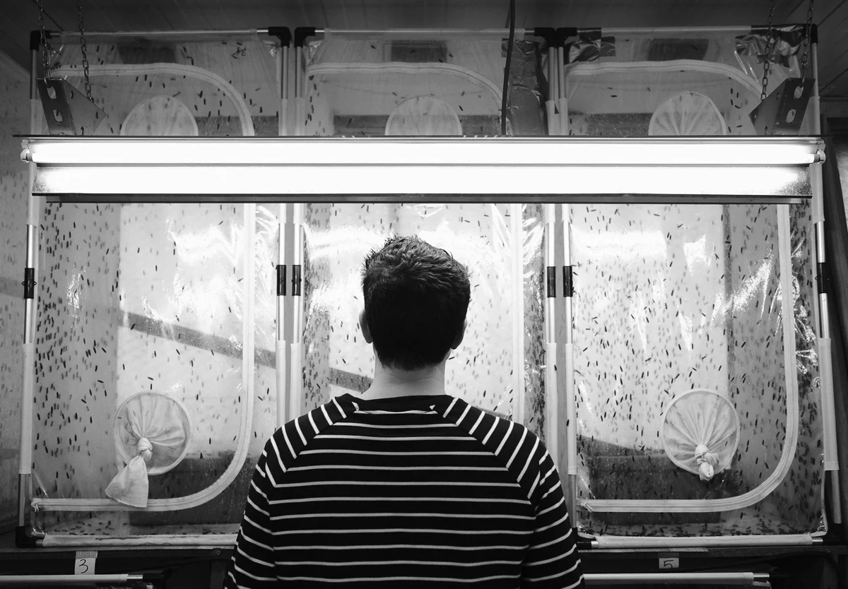 iso800 - Millibeter-3.jpg