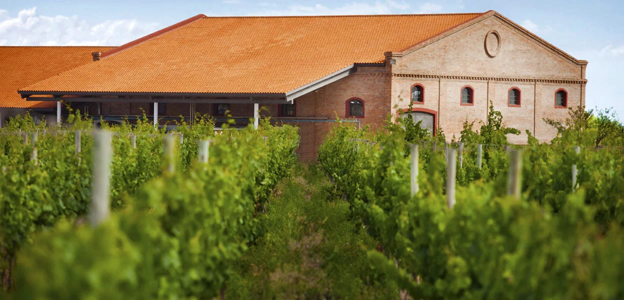 Primera Zona - The areas of Lujan de Cuyo and Maipù, are generally regarded as the original sites where Mendoza viticulture first developed in past centuries. For this reason the area is called “Primera Zona” (First Land). In this area ALh has his original vineyards, and all of the Malbec Clasico grapes are sourced here. We can say that Primera Zona represents the legacy of Malbec tradition.