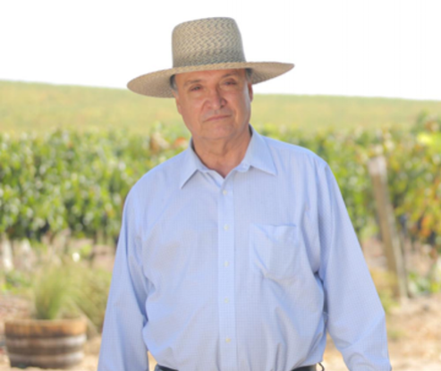 Nimbility to Back Colchagua Thoroughbred Viña Casa Silva 
