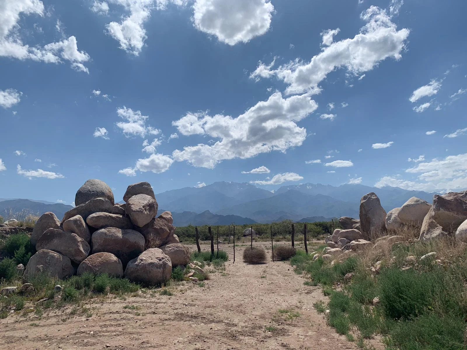 Altos Las Hormigas and Le Sommelier International cement partnership in China