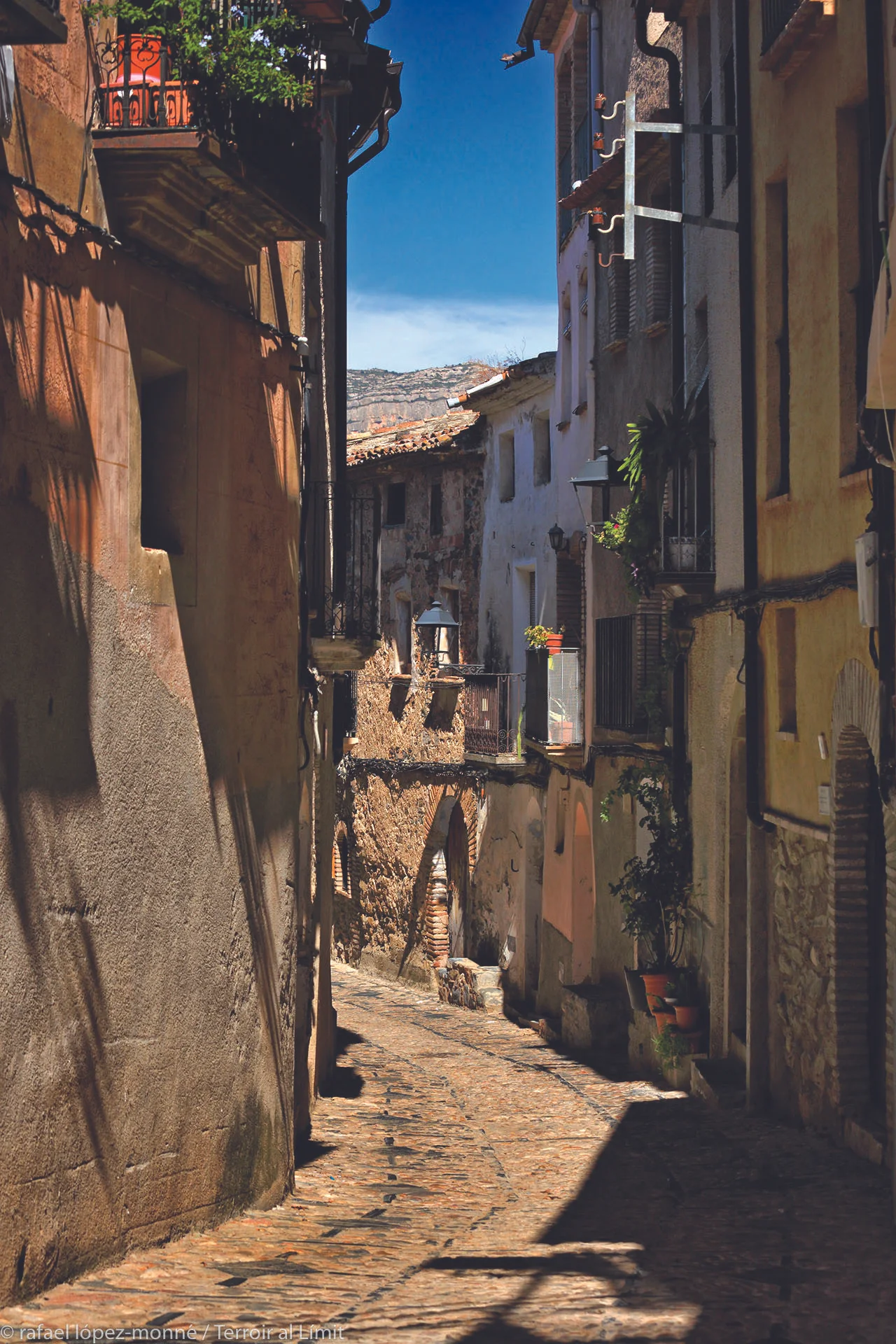 city view.jpg