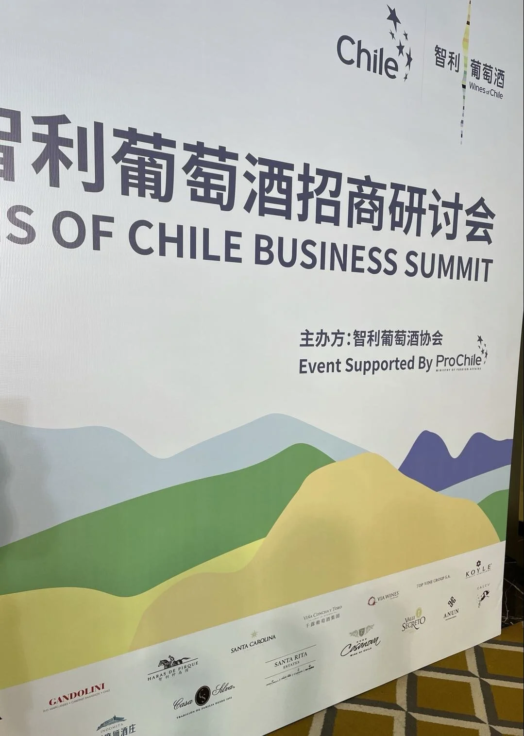 2021 Wines of Chile Business Summit